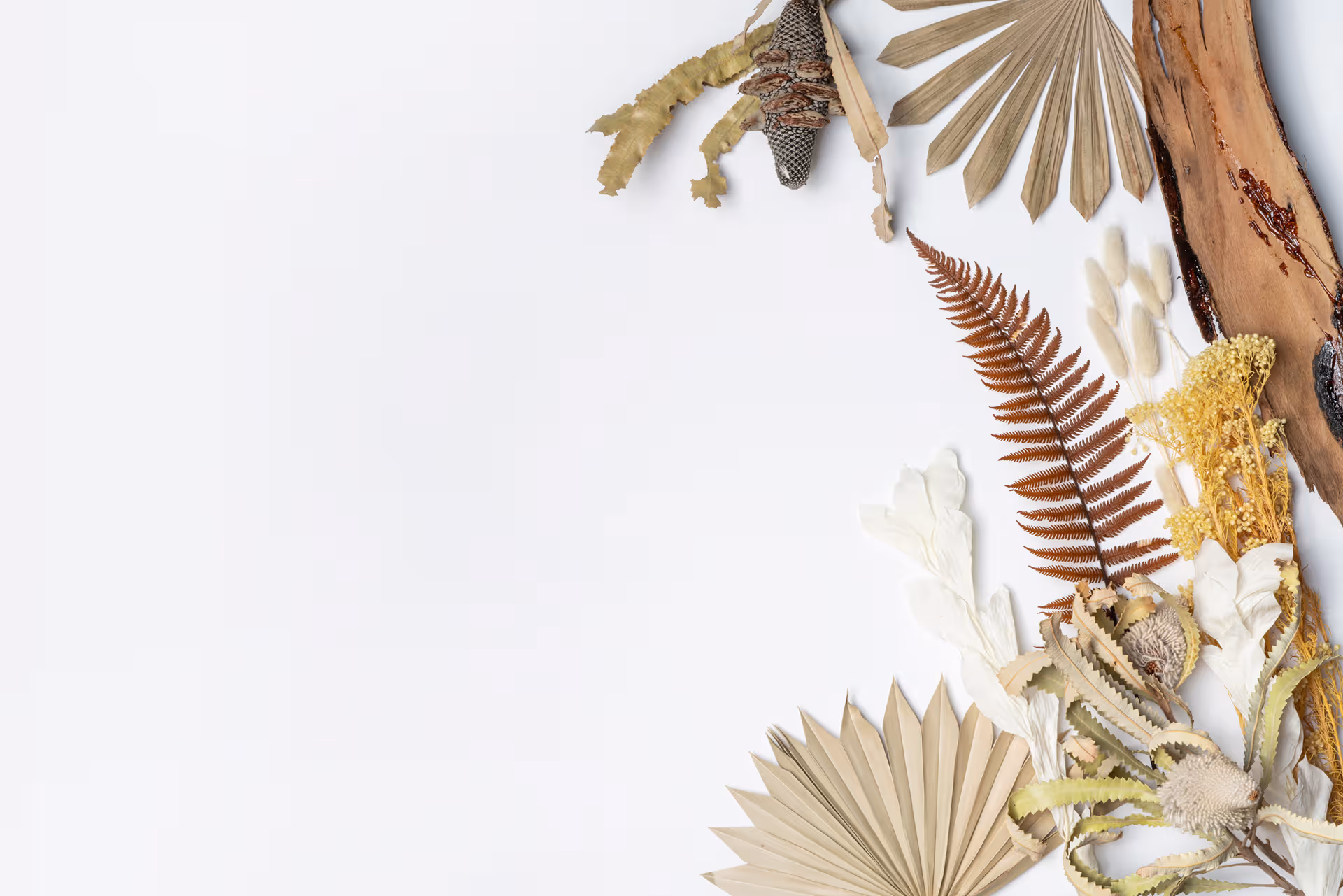 Italian Decoration - Capannori (LU)